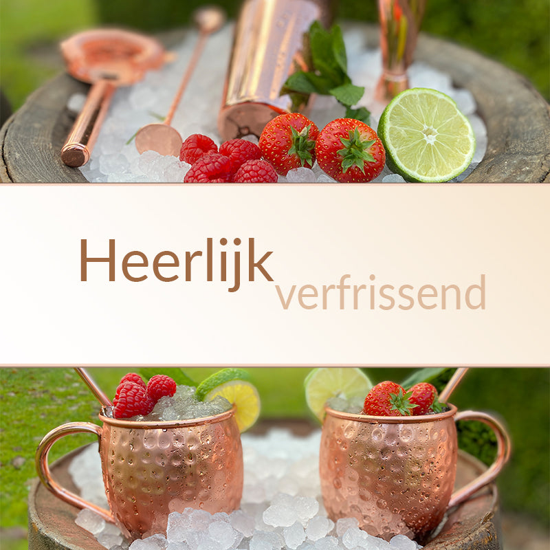MOSCOW MULE COCKTAIL SET